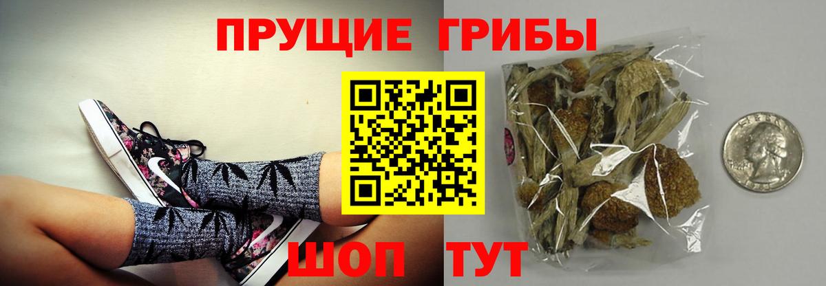 Псилоцибиновые грибы прущие грибы  Вход с VPN  Ишимбай 